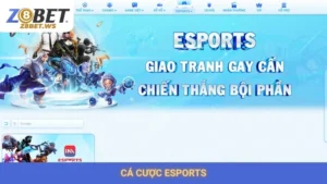 Cá Cược Esports Z8bet