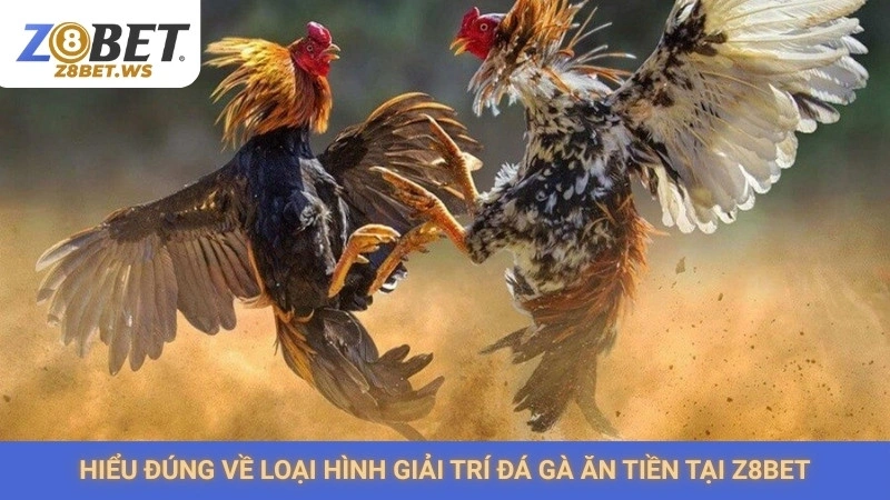 Hiểu đúng về loại hình giải trí đá gà ăn tiền tại Z8bet